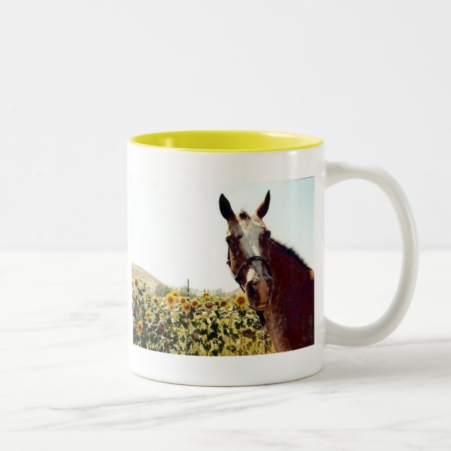 Ha en kopp av solsken! (Höger)