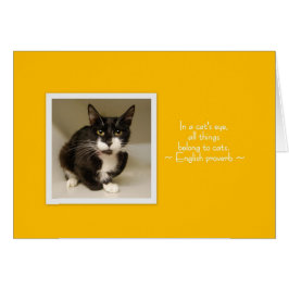 Ha en Meow-dag! Hälsningskort