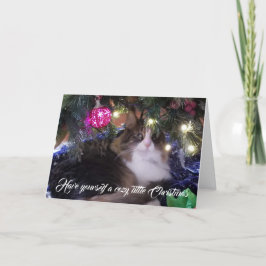 Ha en Mysiga katt under julgran Helgkort