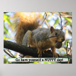 Ha en nittiodag, Cute Squirrel Humor Poster
