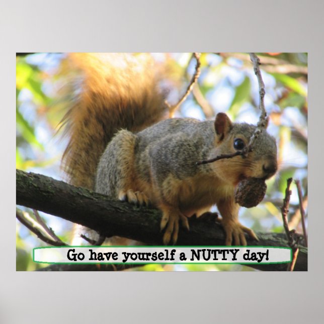 Ha en nittiodag, Cute Squirrel Humor Poster (Framsidan)