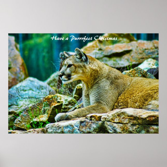 Ha en perfekt jul poster (Framsidan)