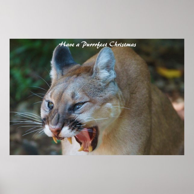 Ha en perfekt jul poster (Framsidan)