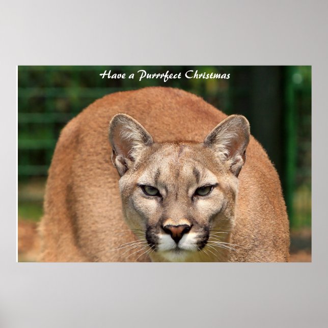 Ha en perfekt jul poster (Framsidan)