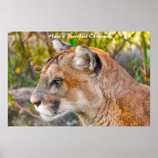 Ha en perfekt jul poster (Framsidan)