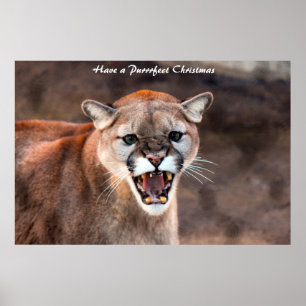 Ha en Purrrfect jul Poster