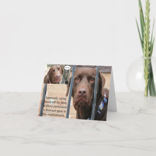 Ha en sagolik födelsedag… utan följder kort (Framsida)