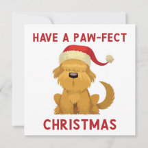 Ha en Tass-Fest jul // Cute-Hund jul