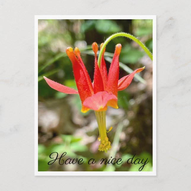 Ha en trevlig dag vykort (Framsida)