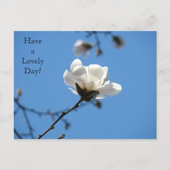 Ha en underbar dag! vykort Vit Magnolia Vår (Framsida)