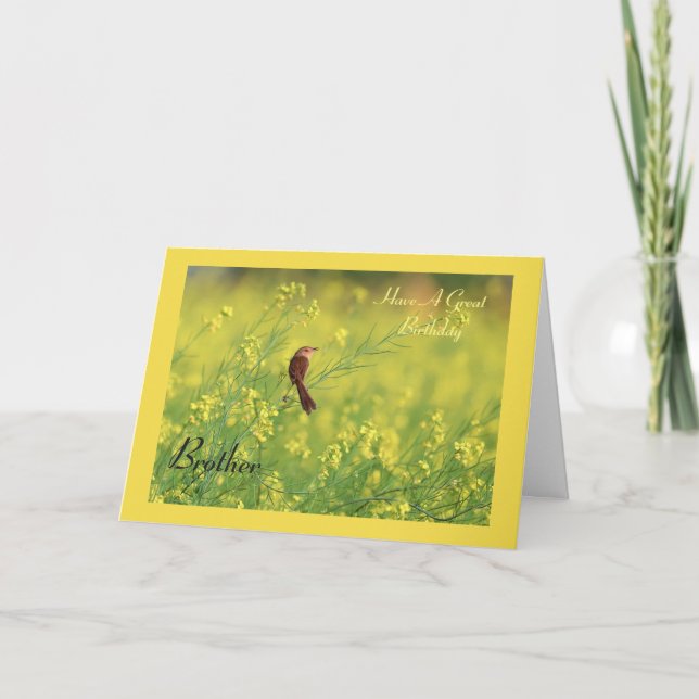 Ha en Underbar födelsedag Kort (Framsida)