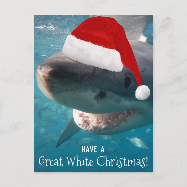 Ha en Underbar vit julfont Shark Australia Vykort (Framsida)