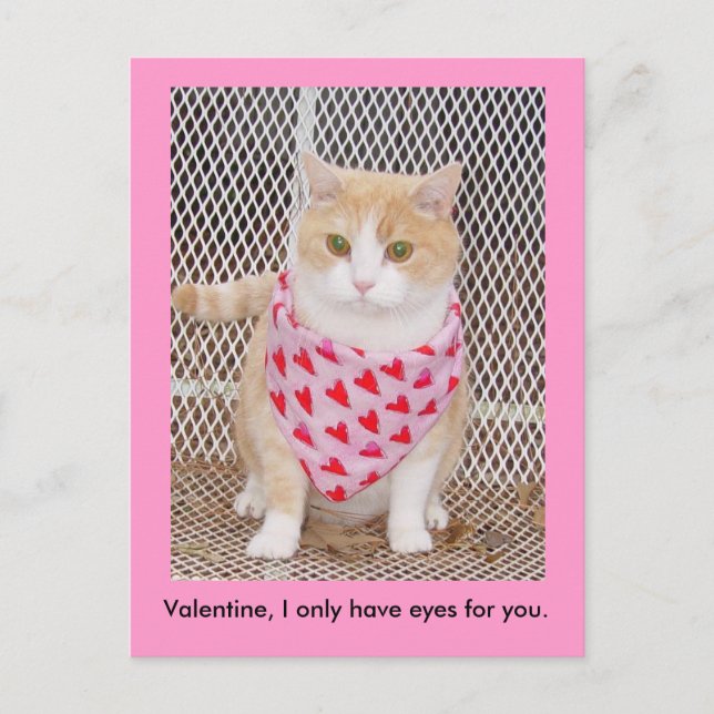 Ha endast ögon för dig helg vykort (Framsida)