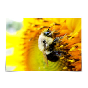 Ha ett BEEutiful Day Bumblebee-solroskort Kort