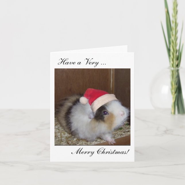 Ha ett Guineas God jul-kort! Helgkort (Framsida)