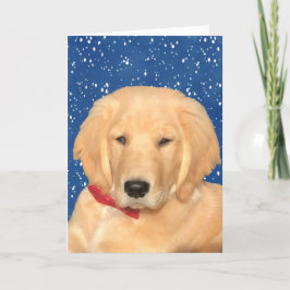 Ha ett gyllene julkort för Hund Tack Kort