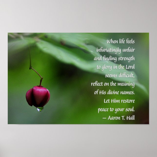 Ha förtroende för Herren Motivationell Poster (Framsidan)