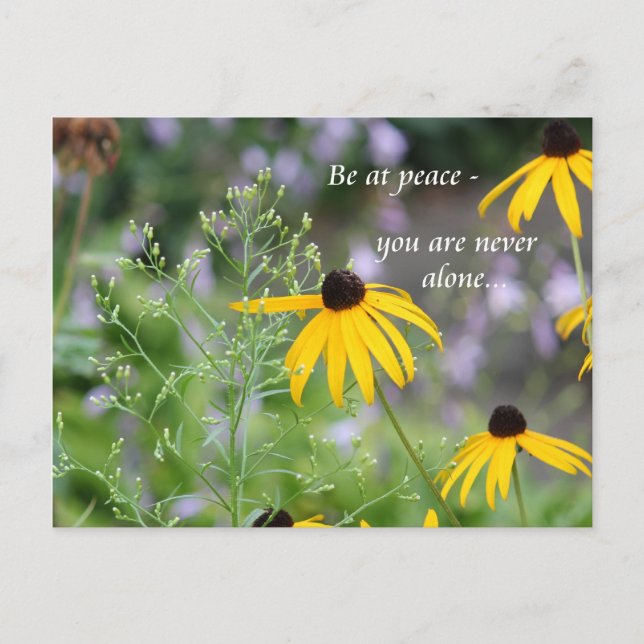 Ha fred vykort (Framsida)