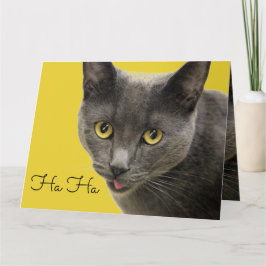 Ha ha Gamla Grattis på födelsedagen Kort