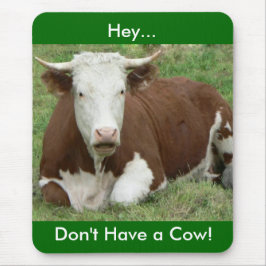 Ha ingen kon musmatta