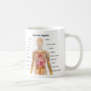 Ha som huvudämne inre organ i människokroppen kaffemugg
