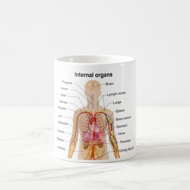 Ha som huvudämne inre organ i människokroppen kaffemugg (Center)