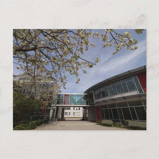 HAAGER REALSCHULE ÜBERGANG ZUM NEUBAU VYKORT (Framsida)