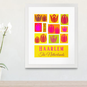 Haarlem Tulips Netherlands Holland Poster