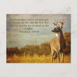 Habackuk 3:18 ändå vill jag glädja mig över Herren Vykort