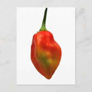 Habanero enkelpepparfoto vykort