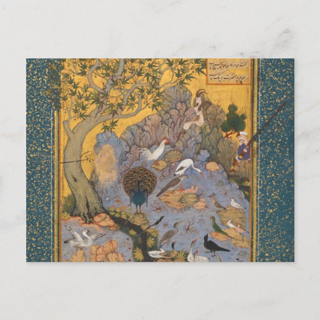 Habiballah of Savas sammanstötning av fåglar Vykort (Framsida)