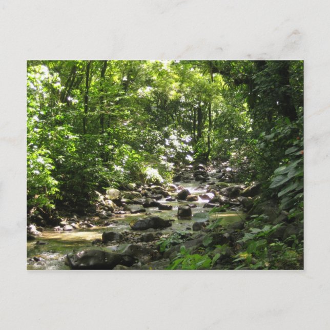 Habitation Céron 1 - Martinique, F.W.I. Vykort (Framsida)