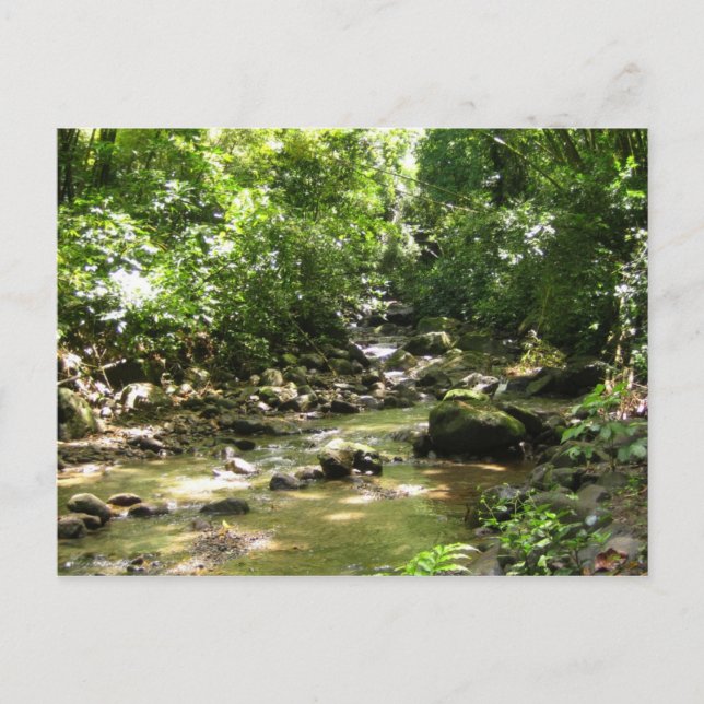 Habitation Céron 2 - Martinique, F.W.I. Vykort (Framsida)