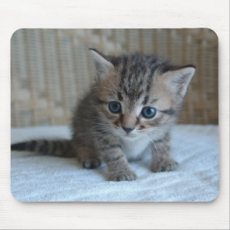 Habus Mousepad Musmatta