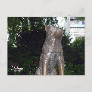 hachiko hund shibuya vykort