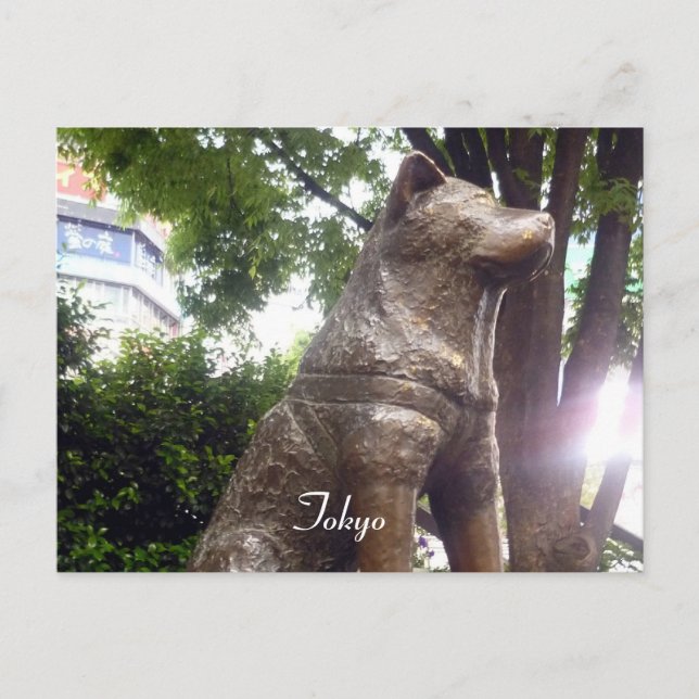 hachiko shibuya vykort (Framsida)