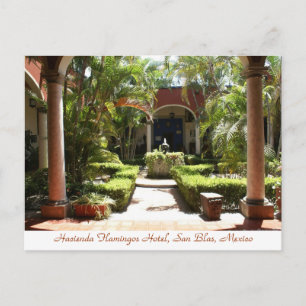 Hacienda Flamingos San Blas Mexico-vykort Vykort