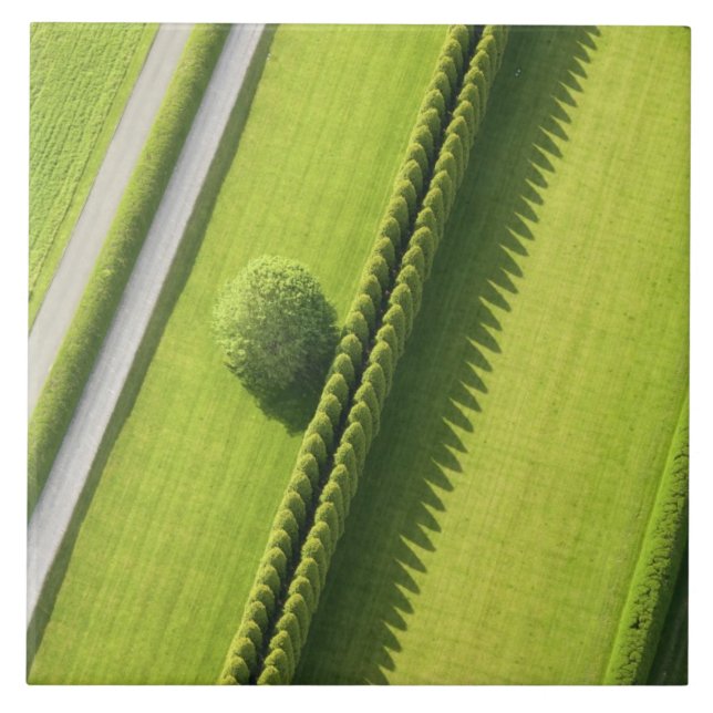 Häck i Hamptonsen Kakelplatta (Framsidan)