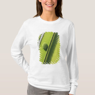 Häck i Hamptonsen Tee Shirt
