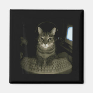 Hacker Katt Meme Rolig Dator Katt Kattunge Spelare Magnet