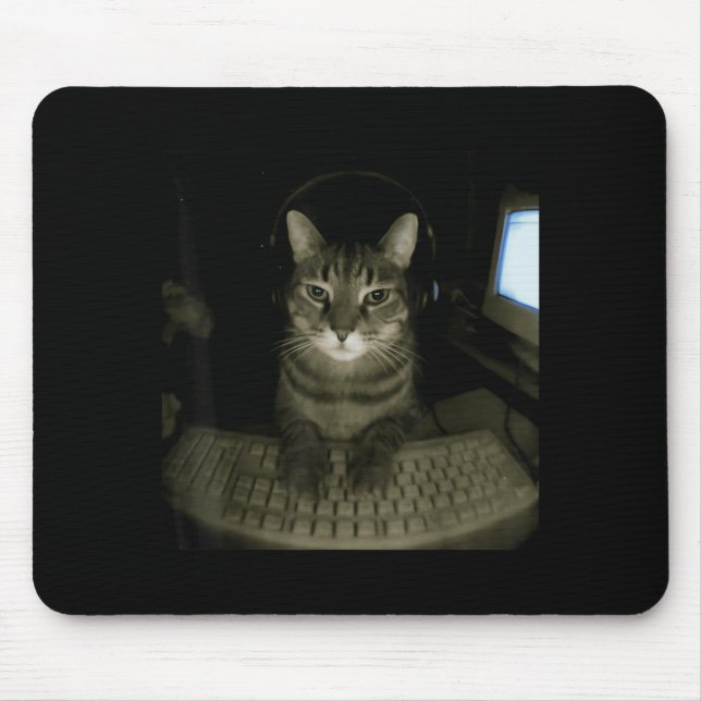 Hacker Katt Meme Rolig Dator Katt Kattunge Spelare Musmatta (Framsidan)