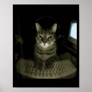 Hacker Katt Meme Rolig Dator Katt Kattunge Spelare Poster