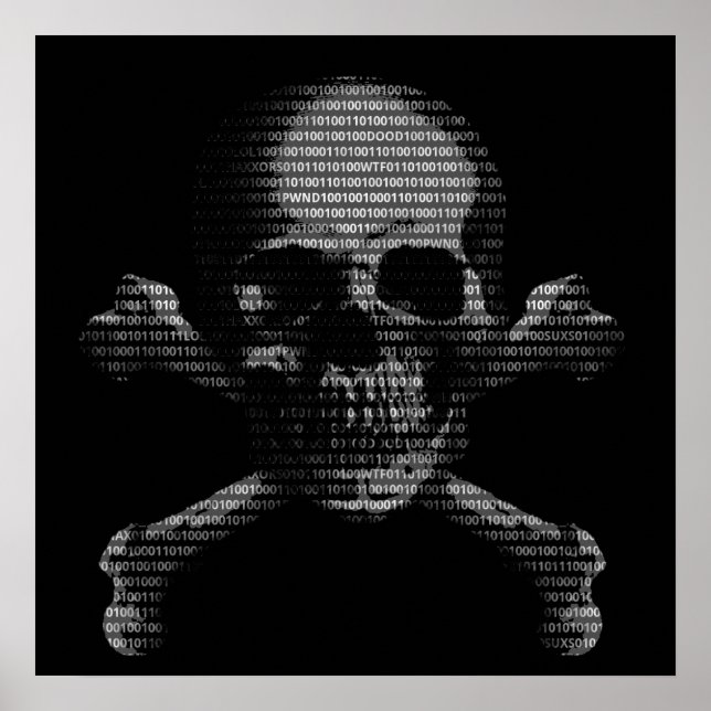 Hacker Skull och Crossbone Poster (Framsidan)