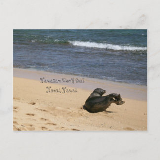 Häcklande hawaiian Munk Seal Kauai Hawaii Vykort