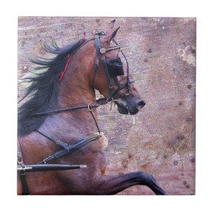 Hackney Grunge Kakelplatta