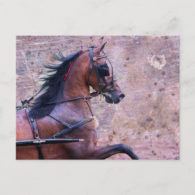 Hackney Grunge Vykort (Framsida)