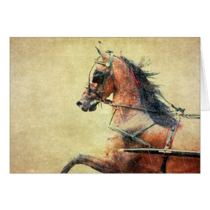 Hackney Pony Blank Inside Greeting Card Hälsningskort