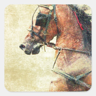 Hackney Pony Fyrkantigt Klistermärke