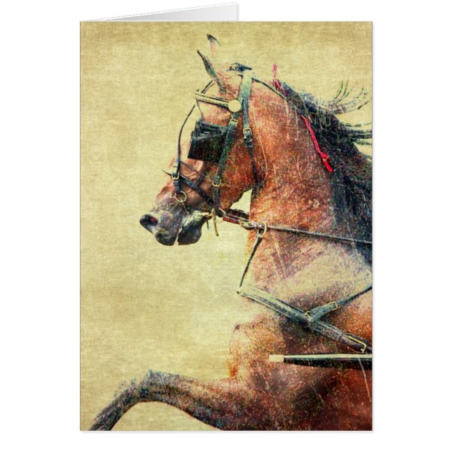 Hackney Pony Hälsningskort (Framsidan)