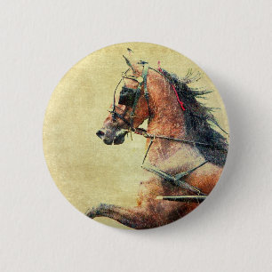 Hackney Pony Knapp